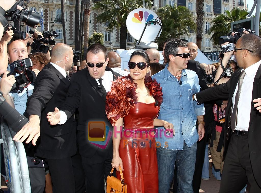 Salma Hayek at Puss in boots cannes premiere on 11th May 2011 
