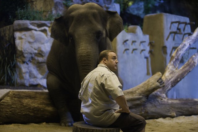 Kevin James in the still from the movie Zookeeper