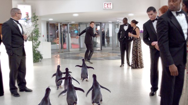 Jim Carrey in the still from the movie Mr. Poppers Penguins