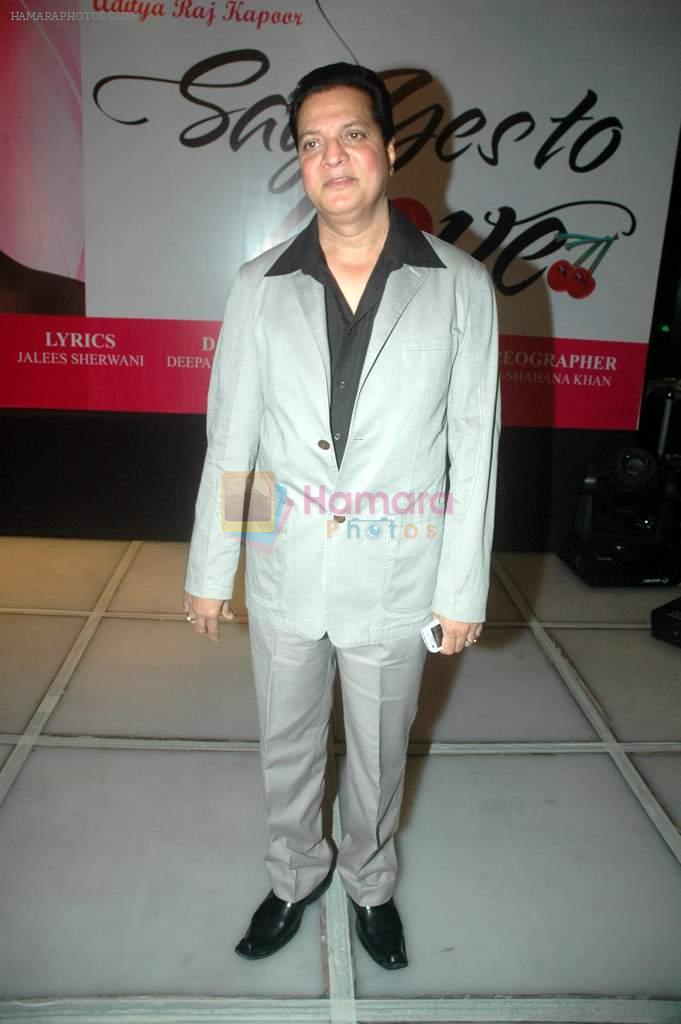 Lalit Pandit at Say Yes to Love music launch in Sea Princess on 27th Aug 2011