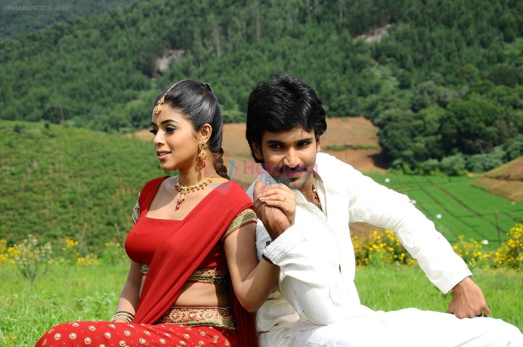 Shamna Kasim (Poorna), Sai Pradeep Pinisetty (Aadhi) in Chelagatam Movie Stills