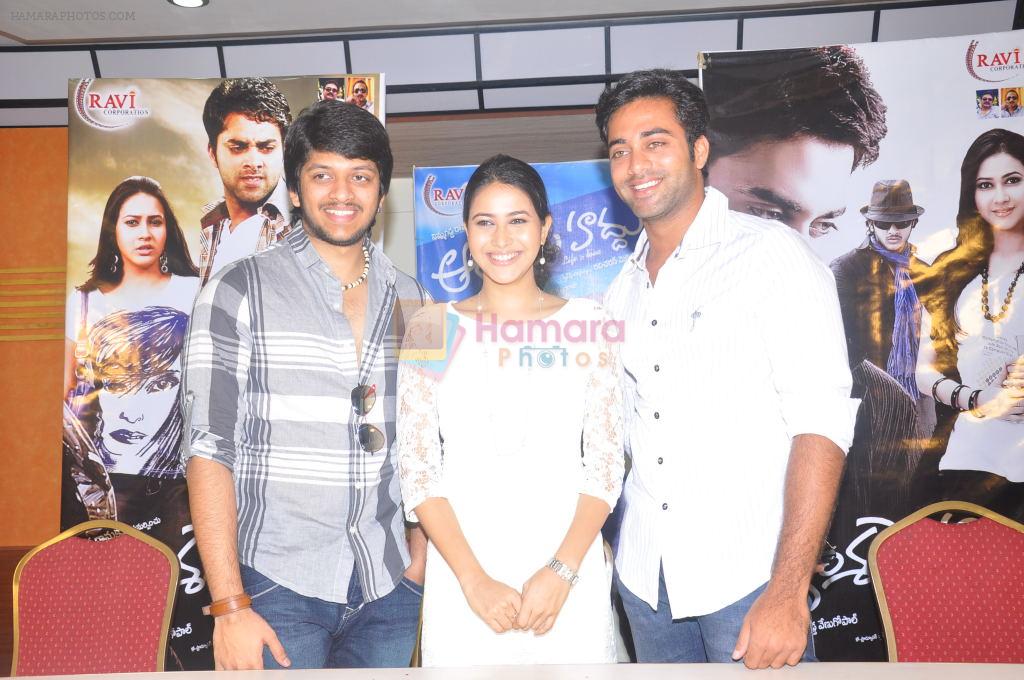 Rajeev Saluri, Panchi Bora, Navdeep attends  Aakasame Haddu Movie Success Meet on 11th September 2011