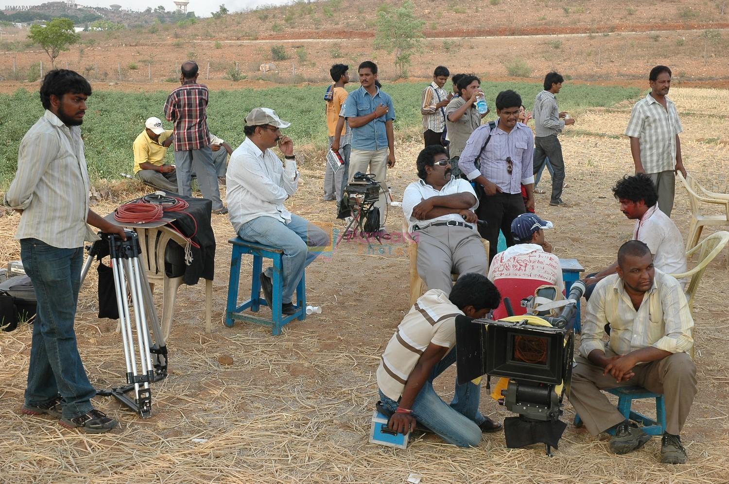 Cricket Girls and Beer On Sets