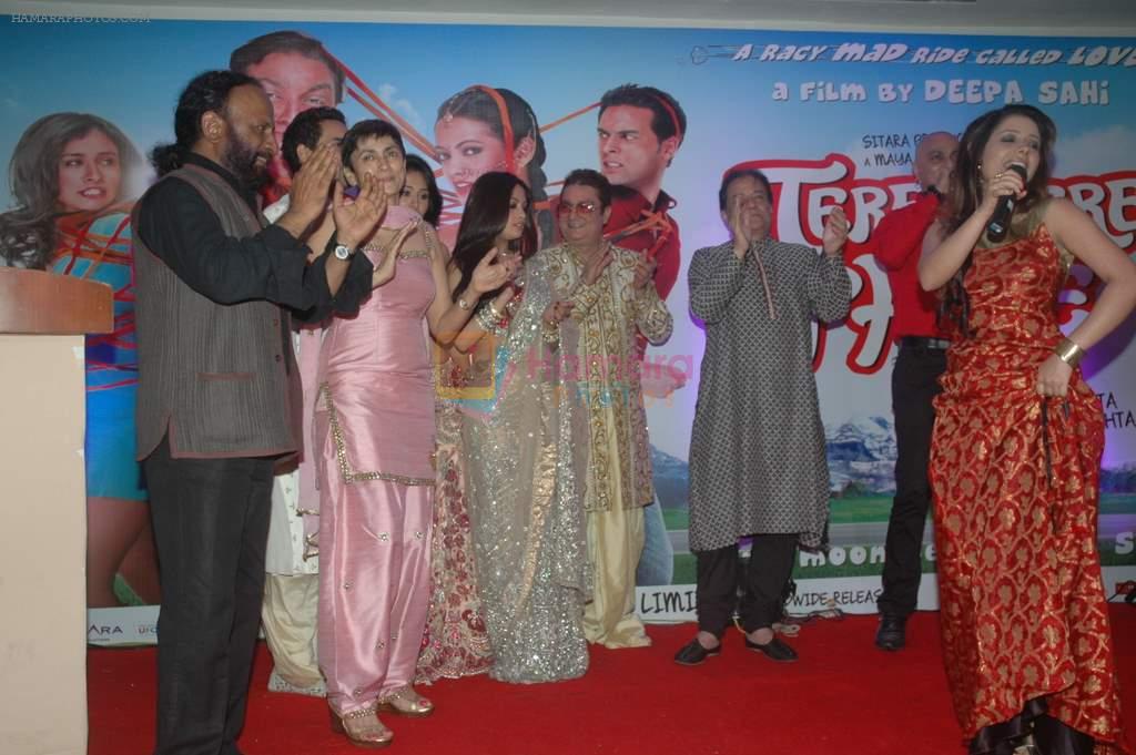 Anup Jalota, Riya Sen, Vinay Pathak, Sasha Goradia, Ketan Mehta, Deepa Sahi at Tere Mere Phere music launch in Raheja Classique, Andheri on 16th Sept 2011