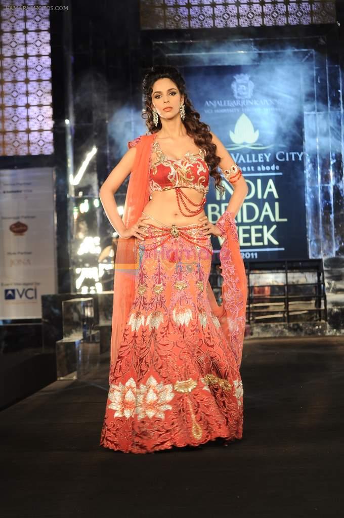 Mallika Sherawat walk the ramp for Anjalee and Arjun Kapoor Show at Amby Valley India Bridal Week day 1 on 24th Sept 2011