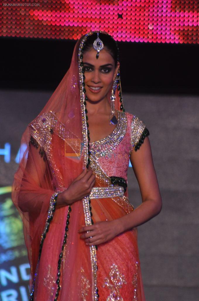 Genelia D Souza at Blenders Pride Fashion Tour 2011 Day 2 on 24th Sept 2011