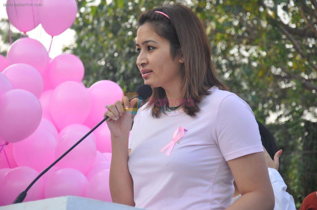 2011 Pink Ribbon Campaign Walk on 1st October 2011
