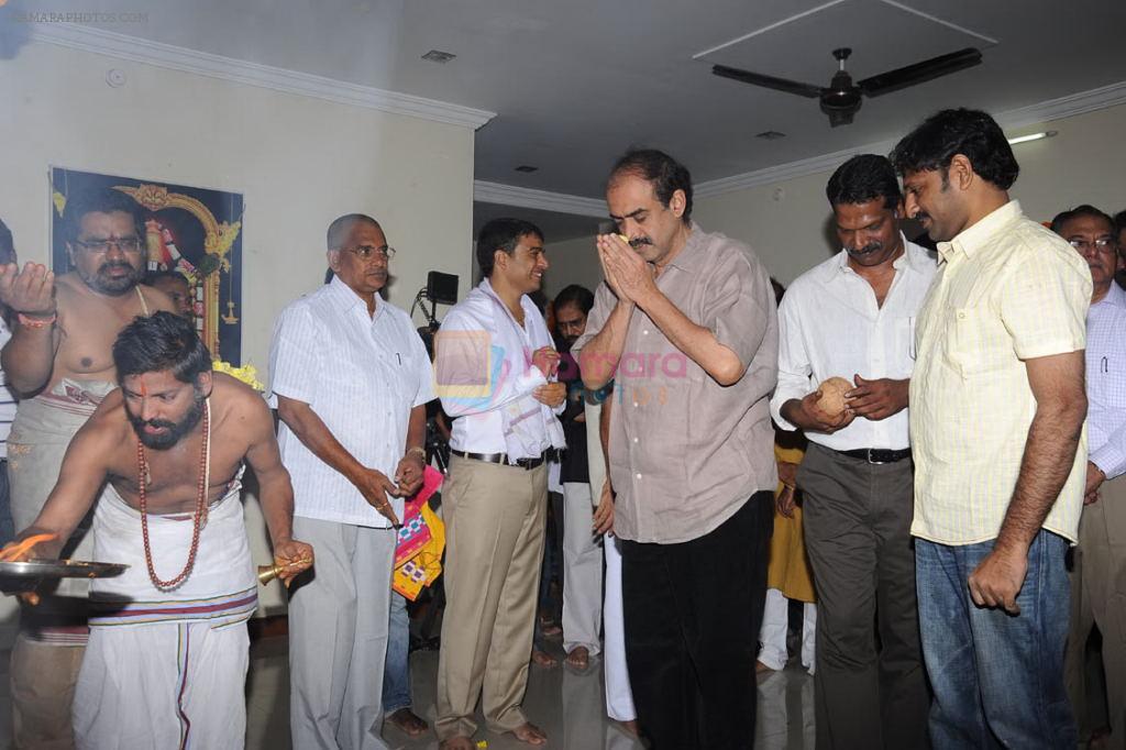 Mahesh Babu attends Seethamma Vakitlo Sirimalle Chettu Movie Opening on October 5th 2011