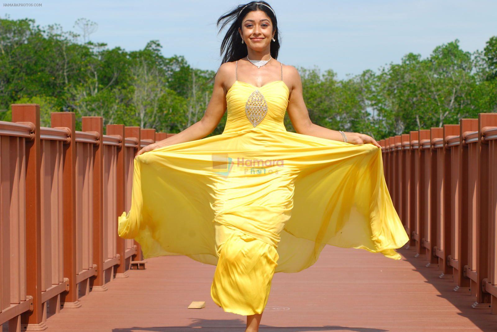 Payal Ghosh in a song shoot on October 26, 2010
