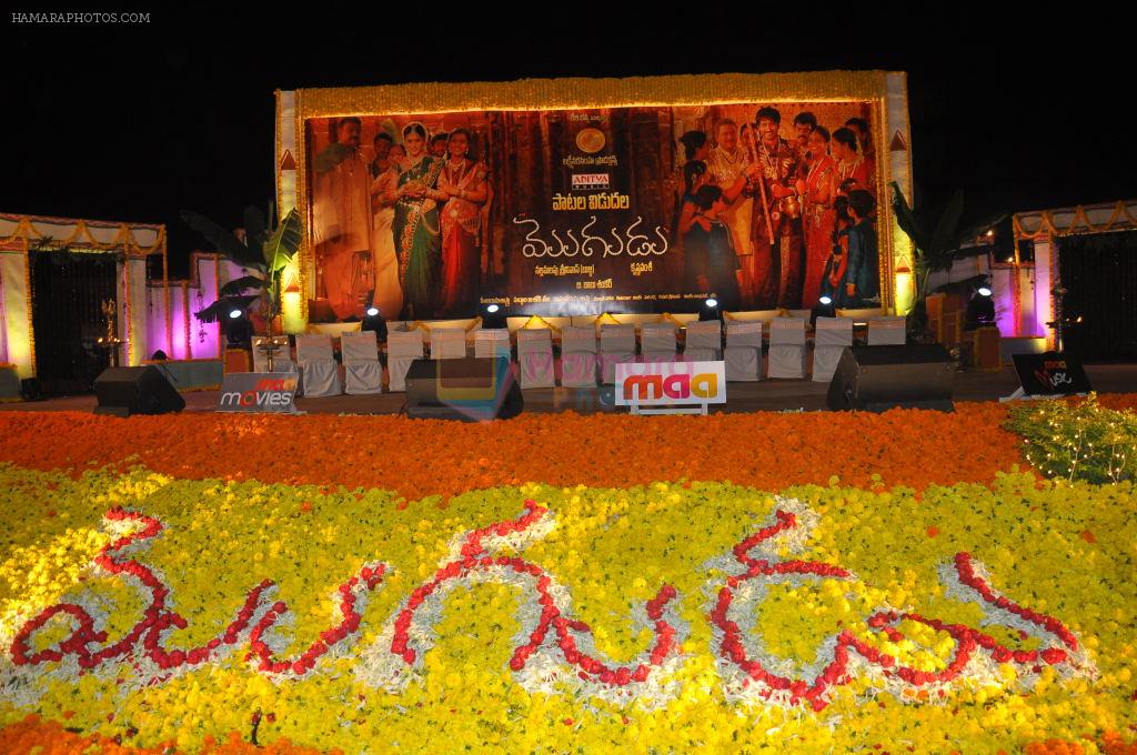 Mogudu Movie Audio Launch on 11th October 2011