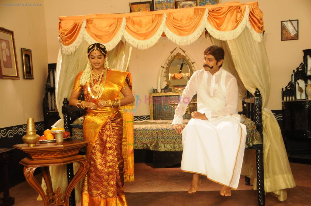 Jagapathy Babu, Priyamani in Kshetram Movie Stills