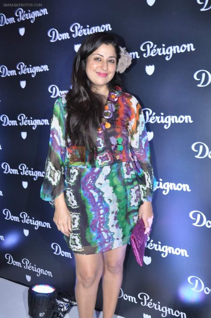 Sabina Singh at Queenie Singh and Daniel Lalonde's dinner Party in Mumbai on 7th Nov 2011