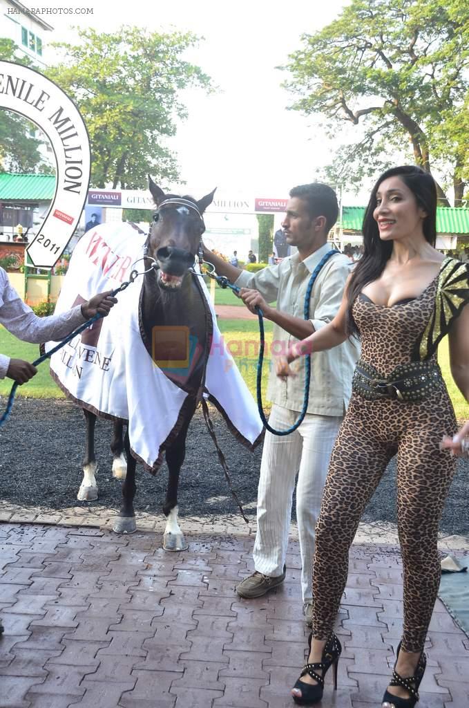 Sofia Hayat at Dirty picture race followed by Sabah Khan show for Gitanjali in Race Course on 20th Nov 2011