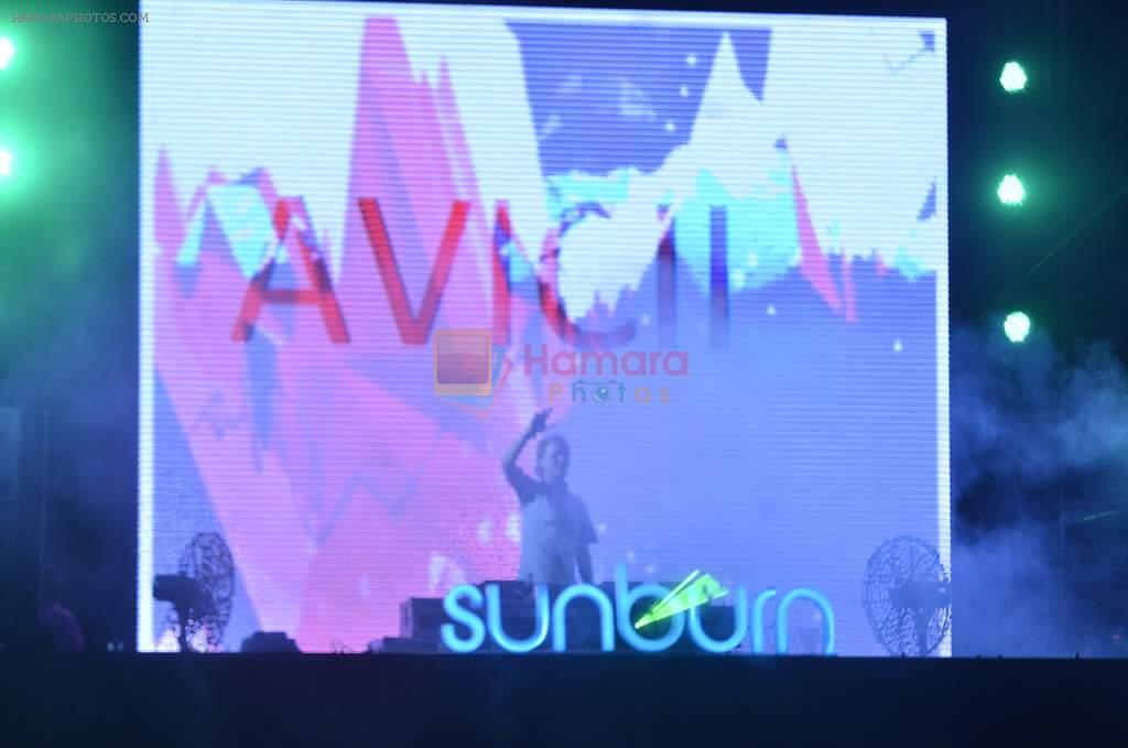 at DJ AVICII gig for Sunburn in Mahalaxmi on 18th Dec 2011
