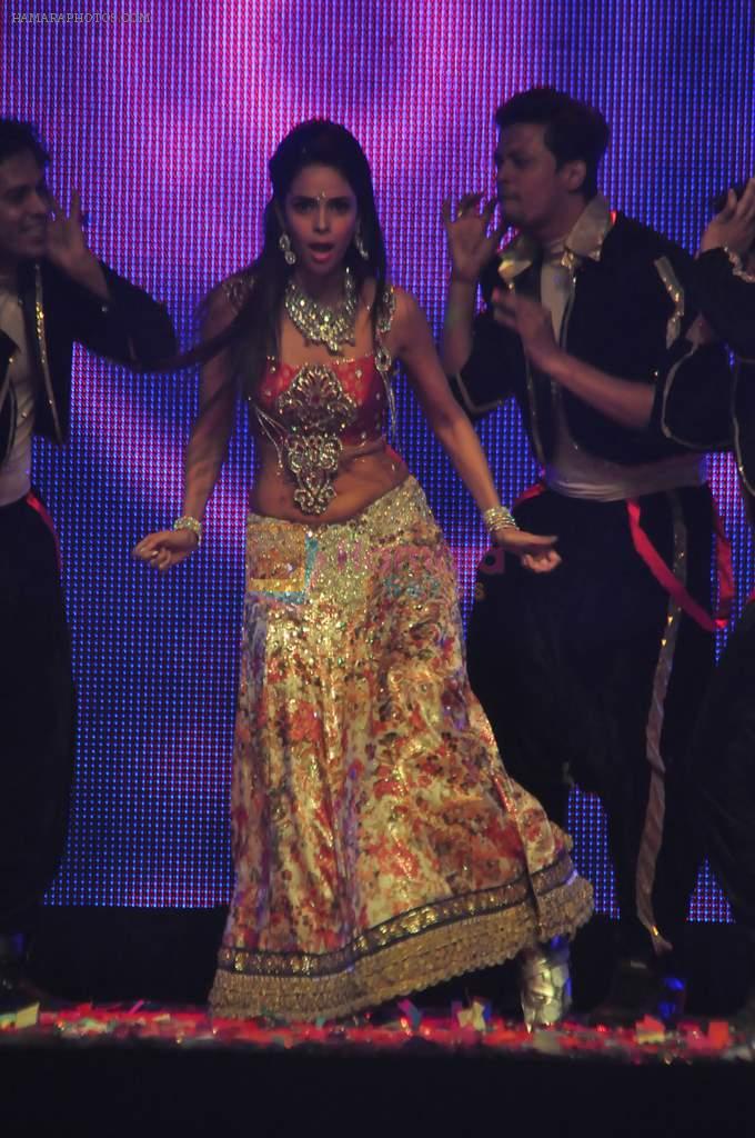 Mallika Sherawat at Tulip Star for New Year's Eve on 31st Dec 2011