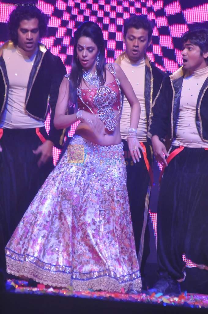 Mallika Sherawat at Tulip Star for New Year's Eve on 31st Dec 2011