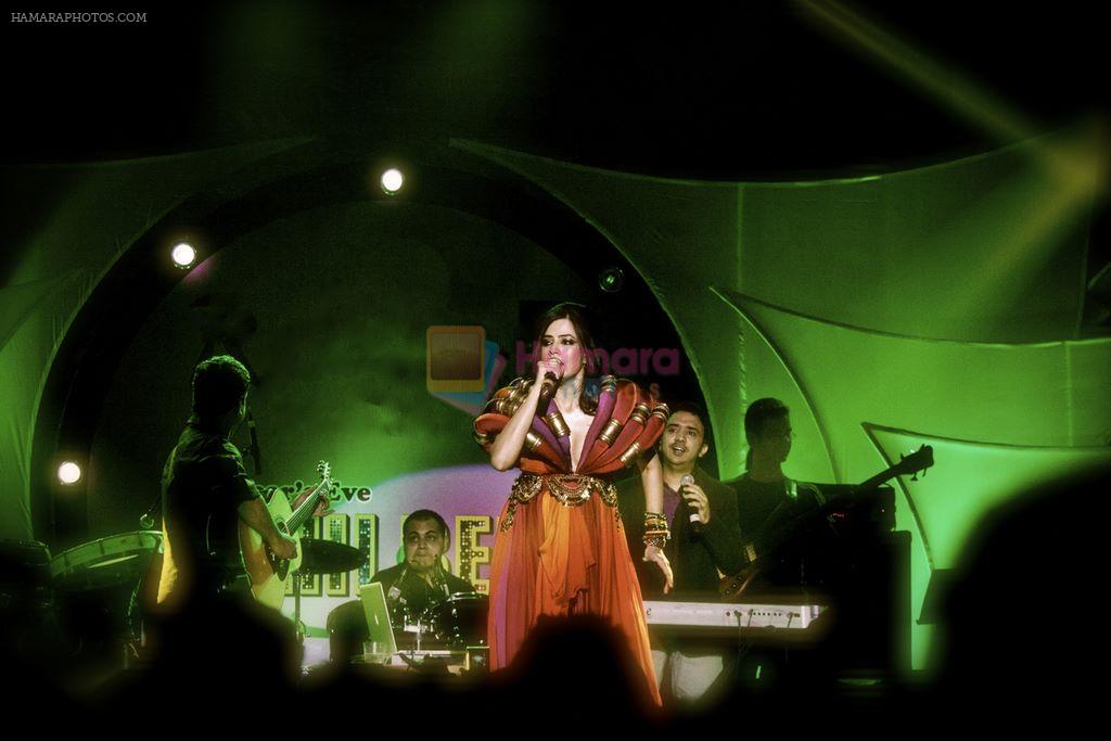 Sona Mohapatra Performs in Delhi For New Years 2012 on 4th Jan 2012