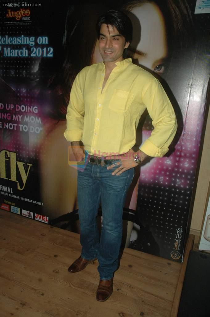 at the Audio release of Diary of a Butterfly in Fun Republic on 30th Jan 2012