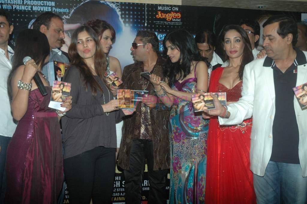 Udita Goswami, Sofia Hayat, Shibani Kashyap,Taz at the Audio release of Diary of a Butterfly in Fun Republic on 30th Jan 2012