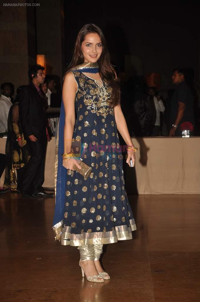 Shazahn Padamsee at Genelia D'souza and Ritesh Deshmukh wedding reception in Hotel Grand Hyatt, Mumbai on 4th Feb 2012