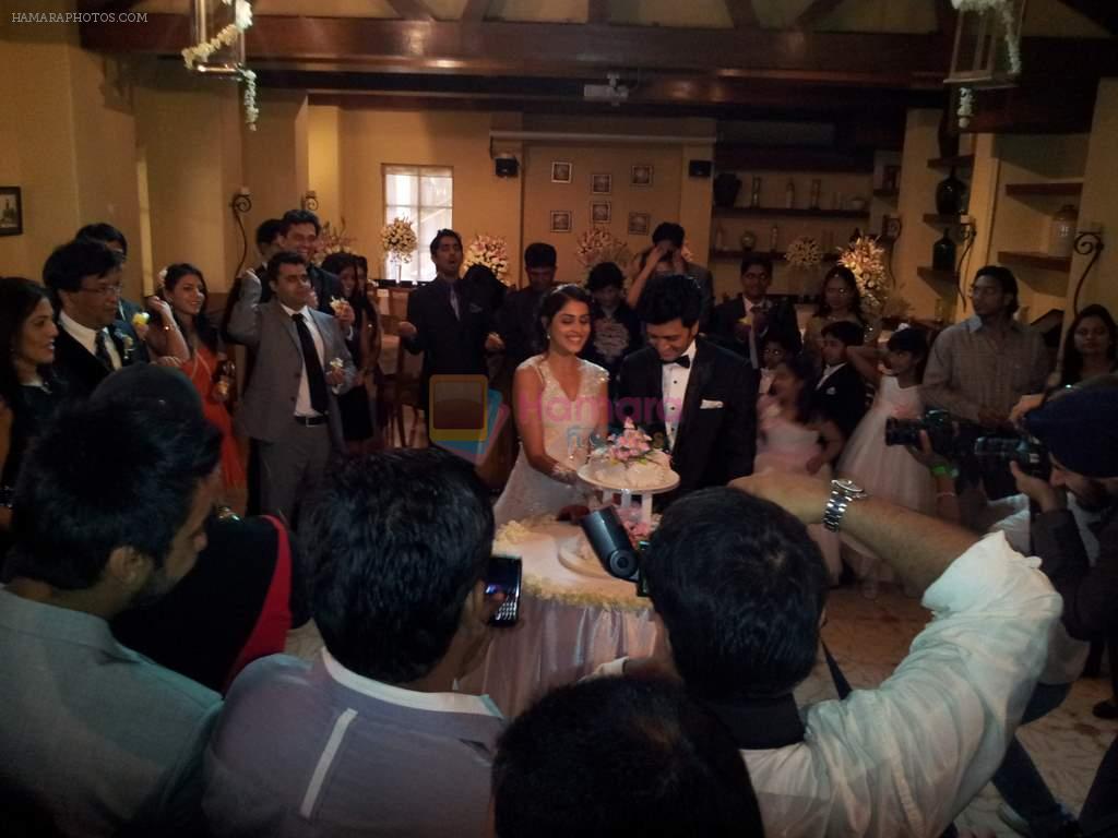 Riteish Deshmukh and Genelia D'souza cutting their wedding cake at Bungalow 9