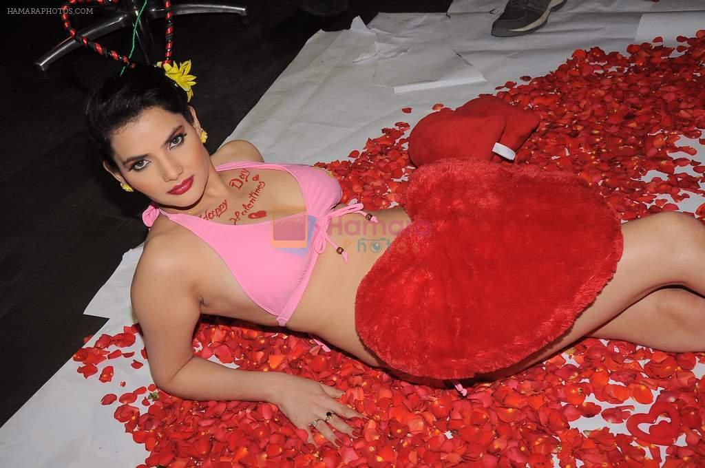 Madhavi Sharma valentine photo shoot in Shivas Studio on 7th Feb 2012