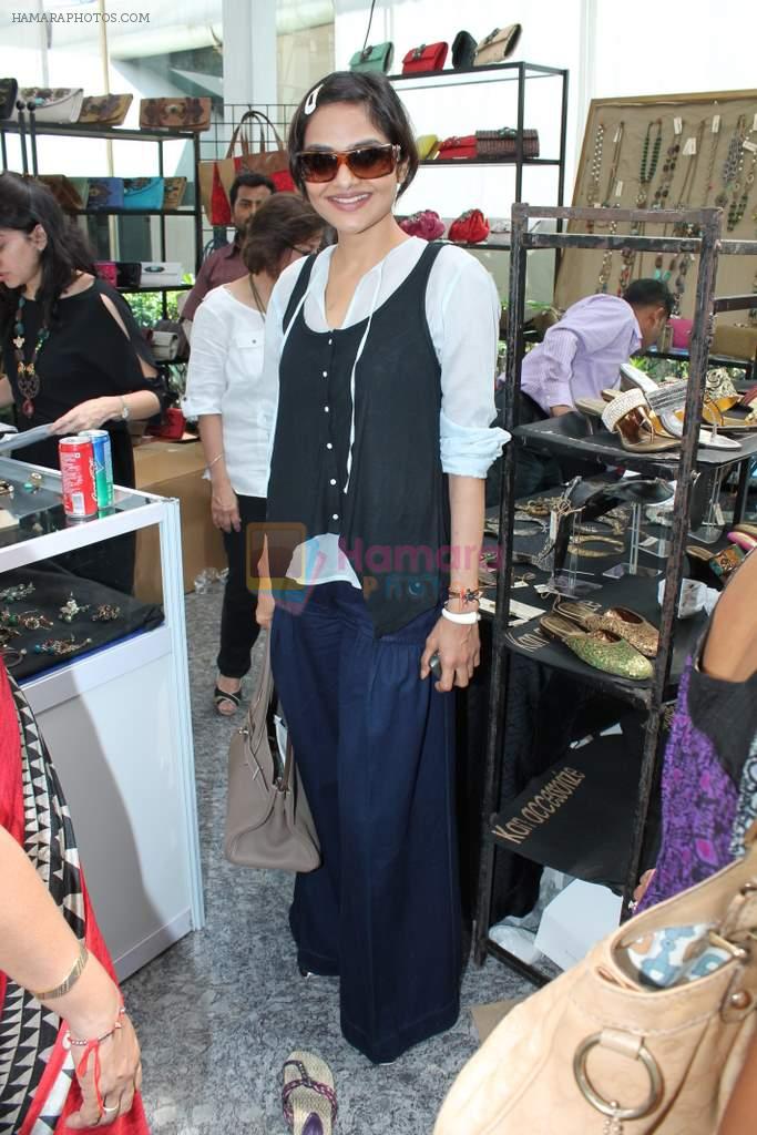 madhoo shah at Sahchari foundation exhibition in Four Seasons on 1st March 2012