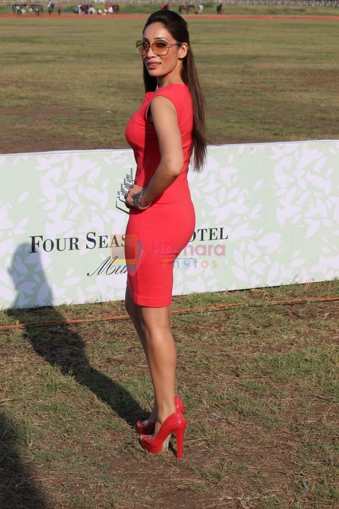 Sofia Hayat at 3rd Asia Polo match in RWITC, Mumbai on 17th March 2012