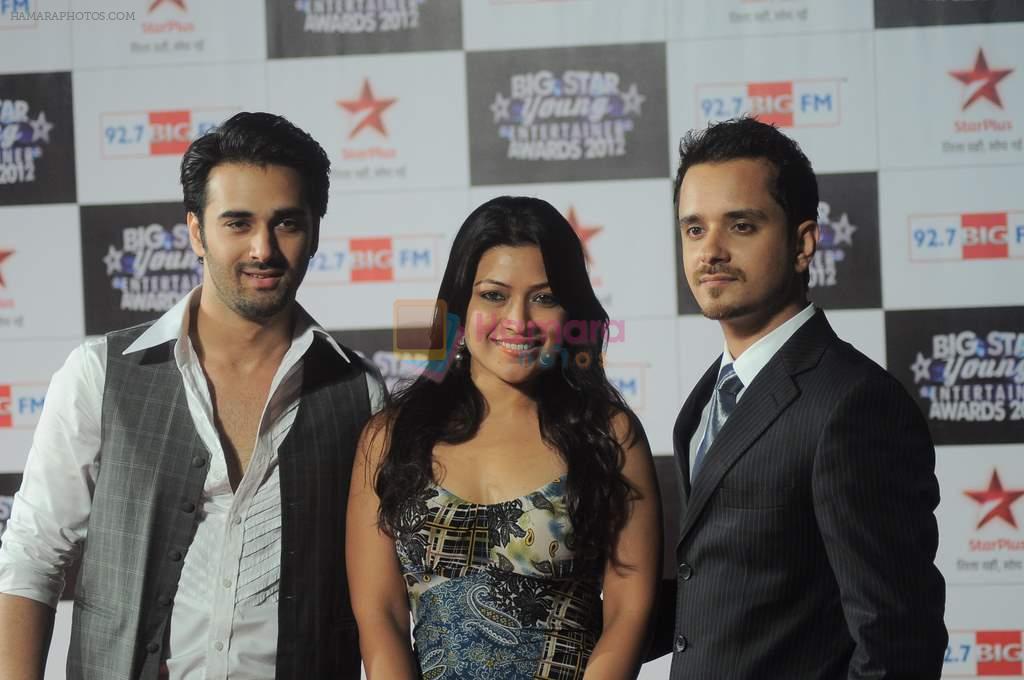 Amita Pathak at Big Star Young Entertainer Awards in Mumbai on 25th March 2012