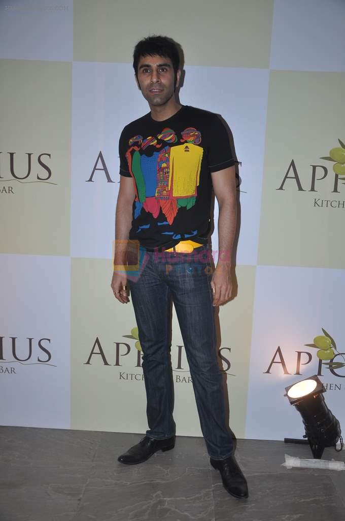 Sandip Soparkar at Apicus lounge launch in Mumbai on 29th March 2012