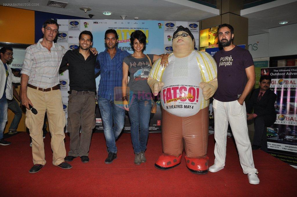 Gul Panag, Purab Kohli, Ranvir Shorey, Rajat Kapoor at Fatso promotions in R-Mall, Mulund, Mumbai on 2nd May 2012