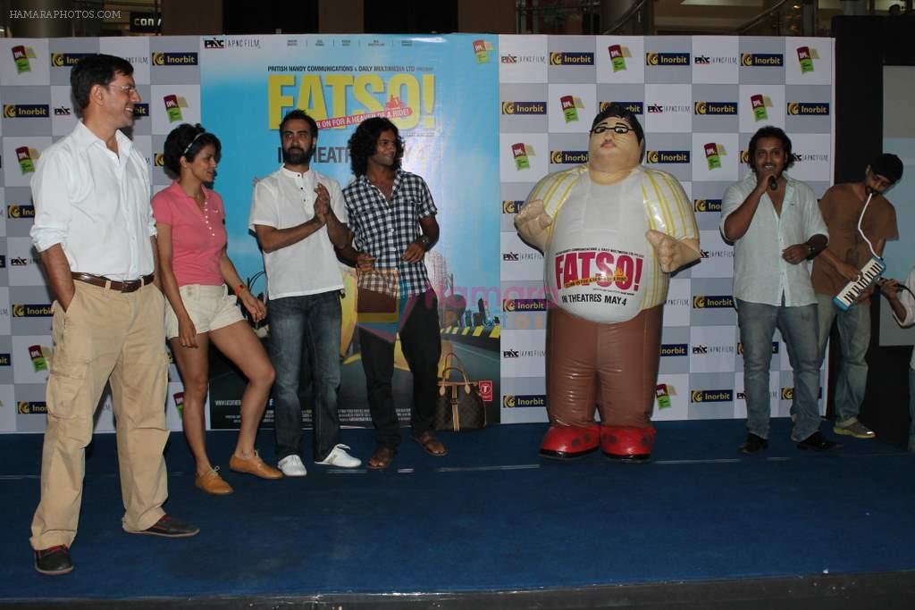 Gul Panag, Purab Kohli, Ranvir Shorey, Rajat Kapoor at Fatso film promotions in Inorbit Mall on 1st May 2012