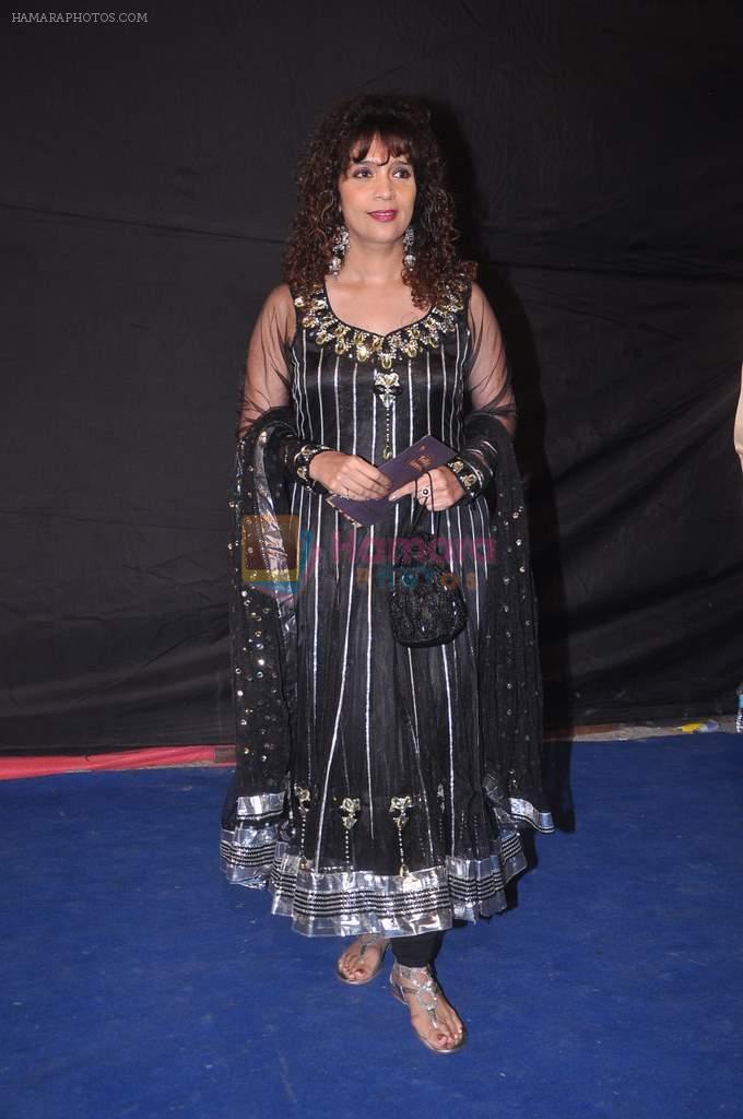 Peenaz Masani at Indian Telly Awards 2012 in Mumbai on 31st May 2012