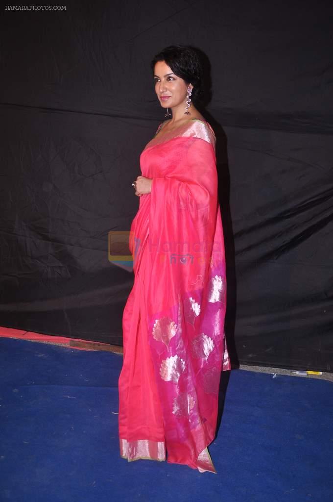 Tisca Chopra at Indian Telly Awards 2012 in Mumbai on 31st May 2012