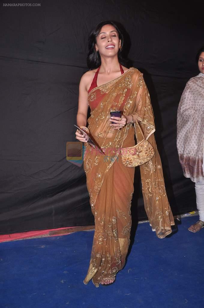 Hrishita Bhatt at Indian Telly Awards 2012 in Mumbai on 31st May 2012