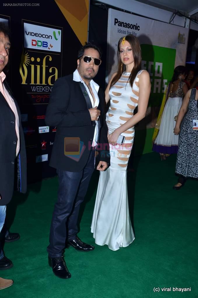 at IIFA Awards 2012 Red Carpet in Singapore on 9th June 2012