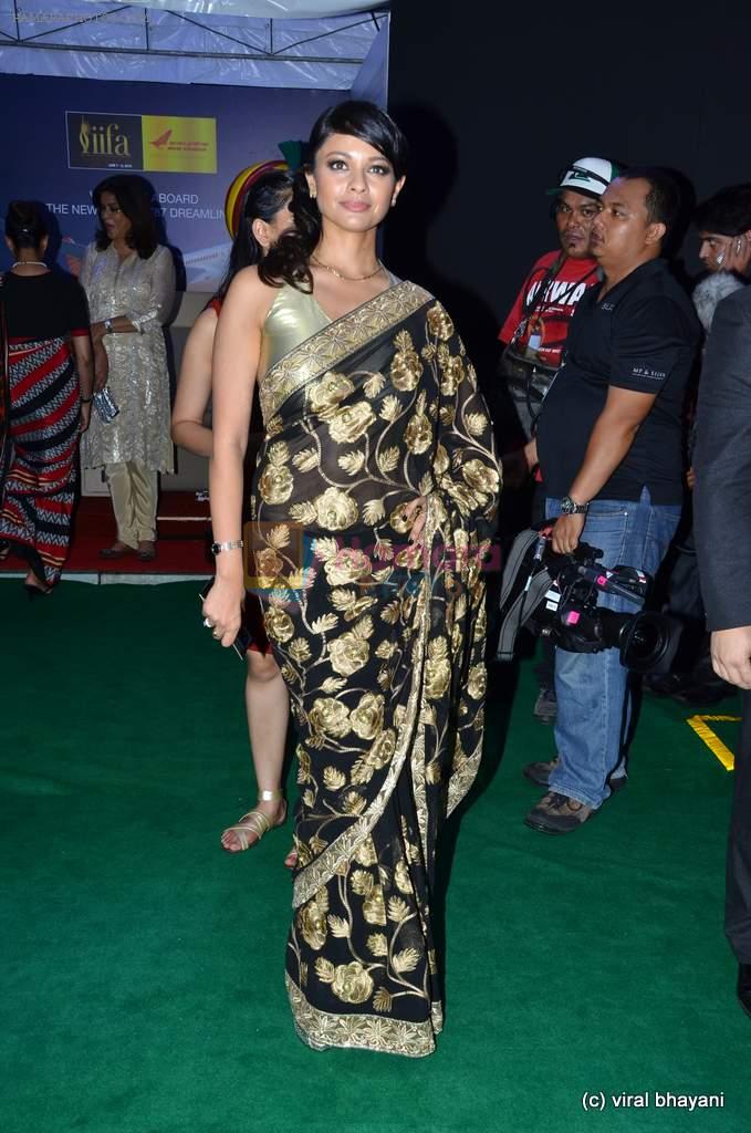 Pooja Kumar at IIFA Awards 2012 Red Carpet in Singapore on 9th June 2012