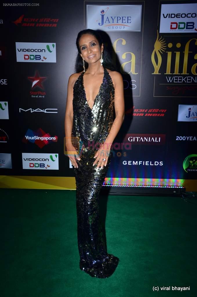 Suchitra Pillai at IIFA Awards 2012 Red Carpet in Singapore on 9th June 2012