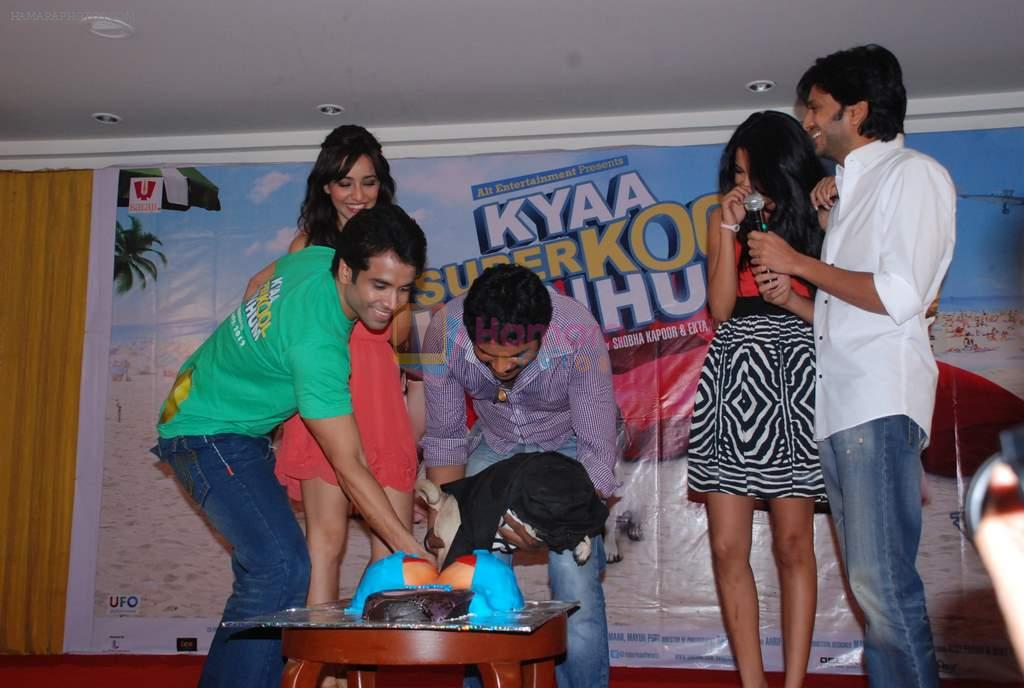 Neha Sharma, Sarah Jane, Tusshar Kapoor, Ritesh Deshmukh at Kya Super Cool Hain Hum promotions in NM College, Mumbai on 21st July 2012
