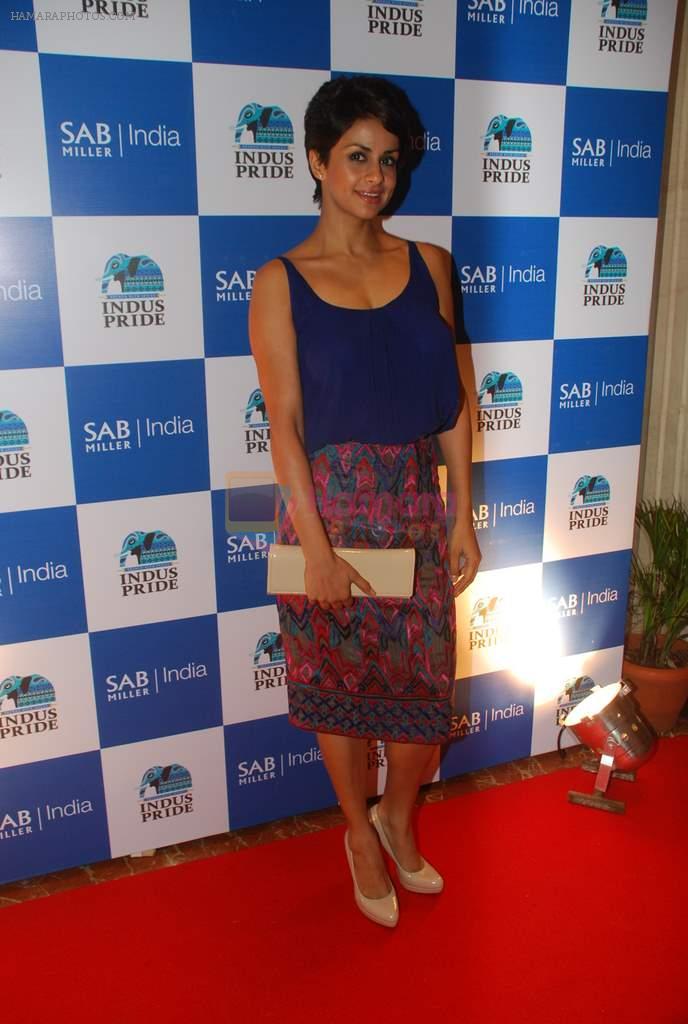 Gul Panag  on the red carpet of Indus Pride in ITC Parel on 18th Aug 2012