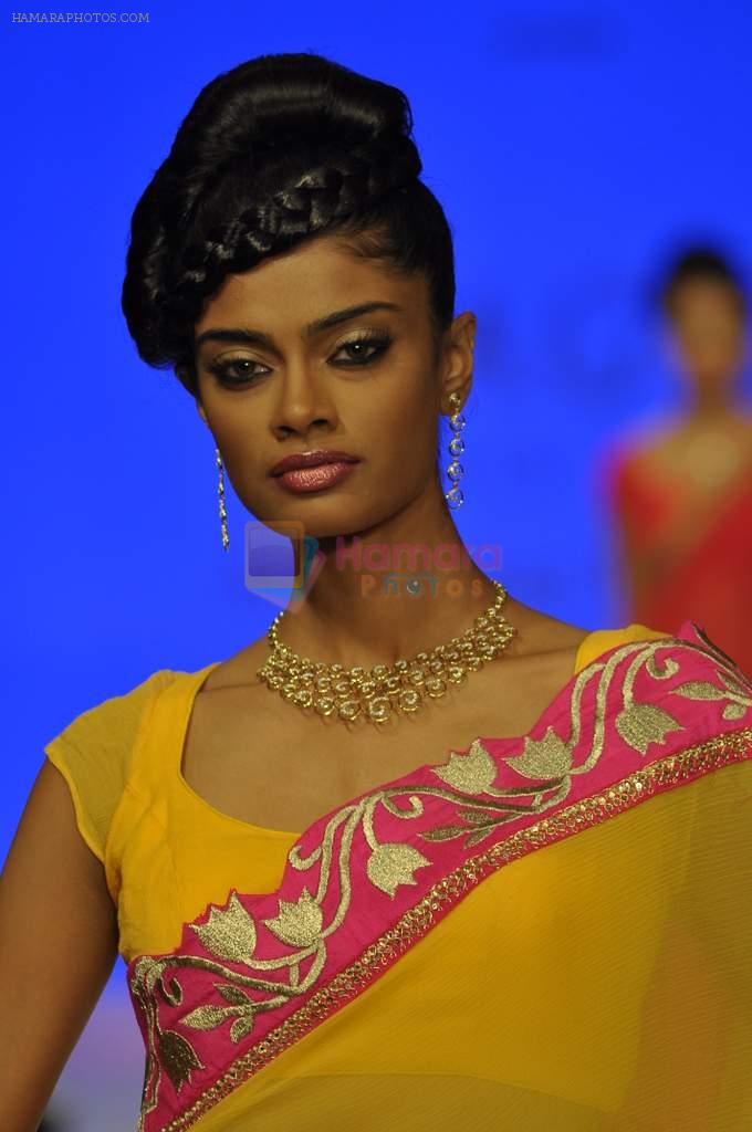 Model walks the ramp for Agni Jewels Show at IIJW Day 2 on 20th Aug 2012