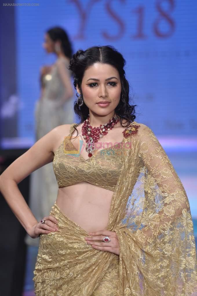 Model walks the ramp for YS 18 Show at IIJW Day 3 on 21st Aug 2012
