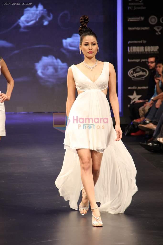 Model walks the ramp for KGK Entice Pvt.Ltd Show at IIJW Day 4 on 22nd Aug 2012