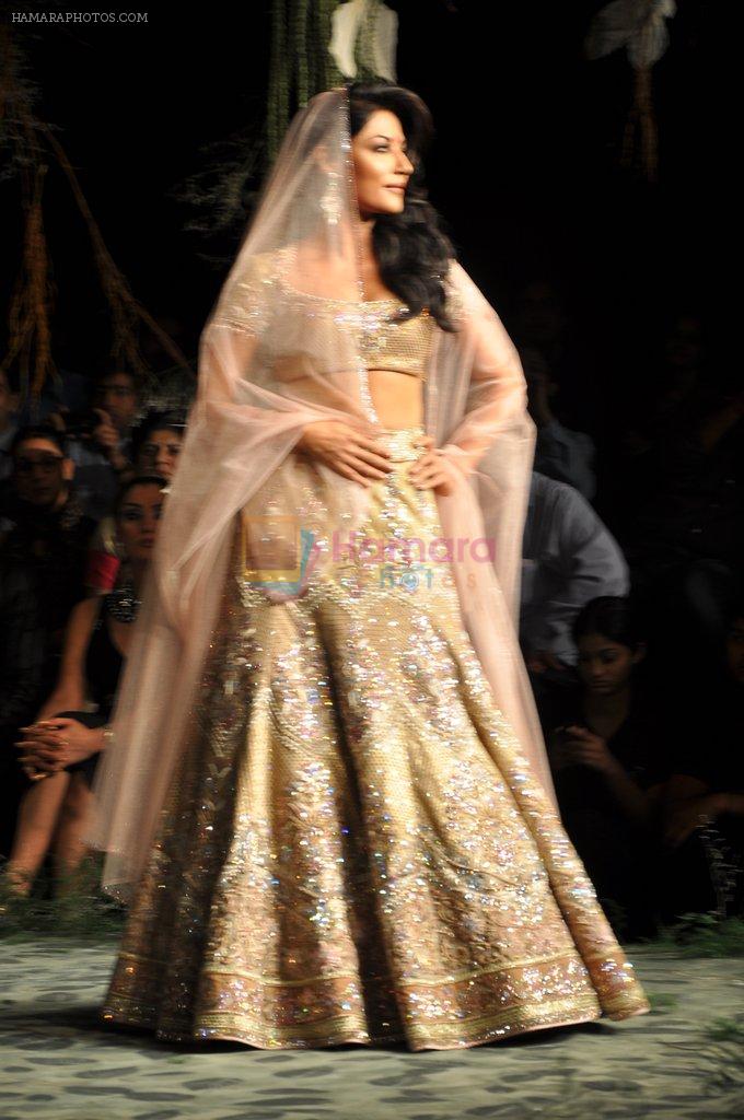 Chitrangada Singh walks the ramp for Tarun Tahiliani show on the opening day of the Aamby Valley India Bridal Fashion Week 2012 on 12th Sept 2012