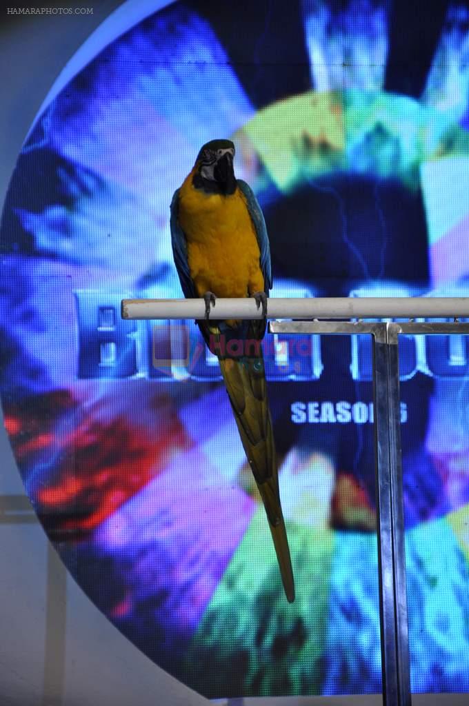 Salman Khan at the Launch of Bigg Boss 6 in Mumbai on 16th Sept 2012