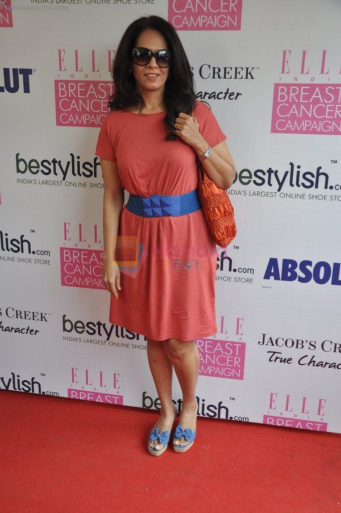 Anita Dongre at BeStylish.com Breast Cancer Awareness Brunch in Mumbai on 14th Oct 2012