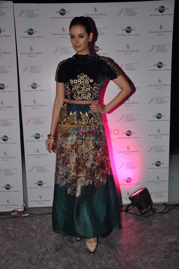 Evelyn Sharma at Estee Lauder Breast Cancer Awareness campaign bash in Air, Four Seasons on 30th Oct 2012