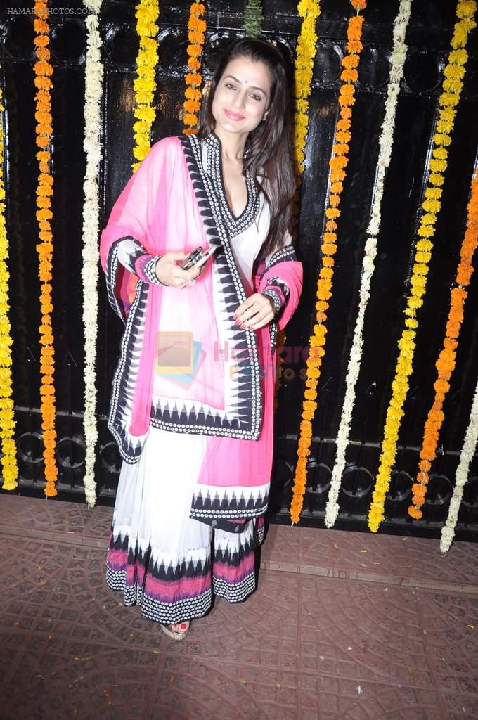 Amisha Patel at Ekta Kapoor's Diwali bash in Mumbai on 14th Nov 2012
