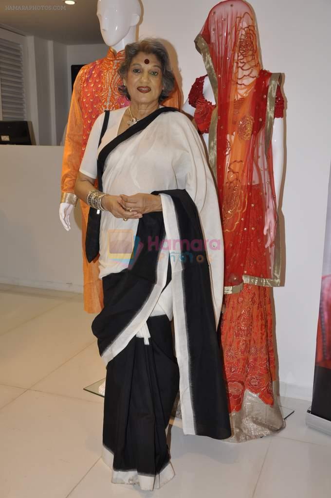 at Krishna Mehta preview in Mumbai on 26th Nov 2012