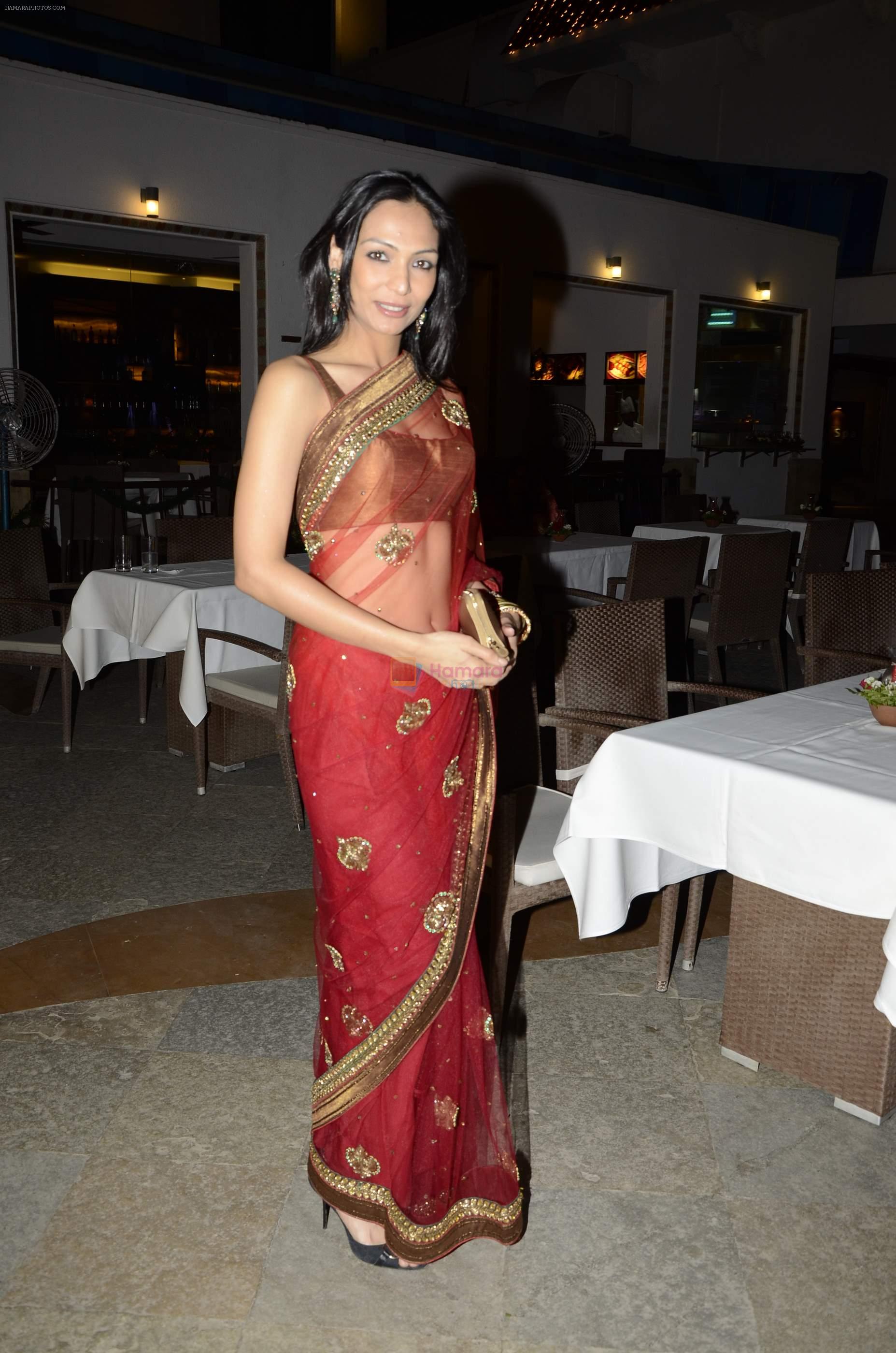 Shamita Singha at Riyaz Amlani and Kiran's wedding reception in Mumbai on 26th Dec 2012